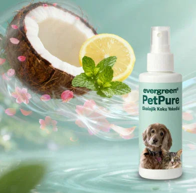petpure-kedi-köpek-koku-giderici