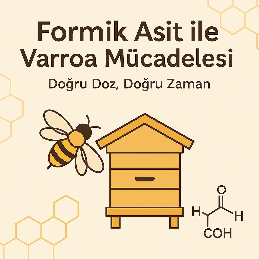 Formik asit ile Varroa mücadelesi, arı, kovan ve kimyasal yapı formülü görseli