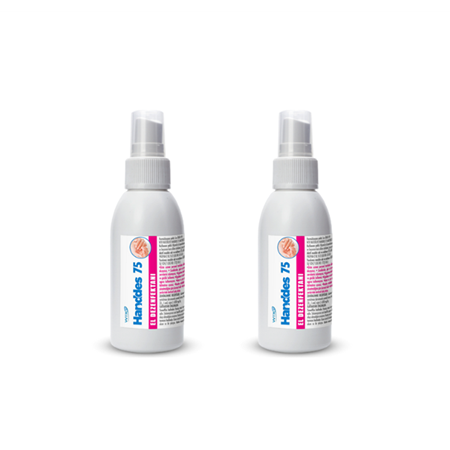 WTR Handdes 75 Alkol Bazlı Sıvı El Dezenfektanı 100 ml 2'li Paket