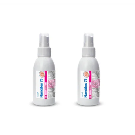 2'li paket WTR Handdes 75 alkol bazlı sıvı el dezenfektanı 100 ml sprey şişe