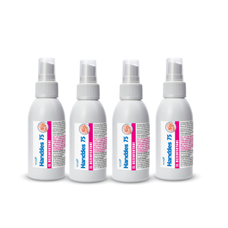 WTR Handdes 75 Alkol Bazlı Sıvı El Dezenfektanı 100 ml 4'lü Paket