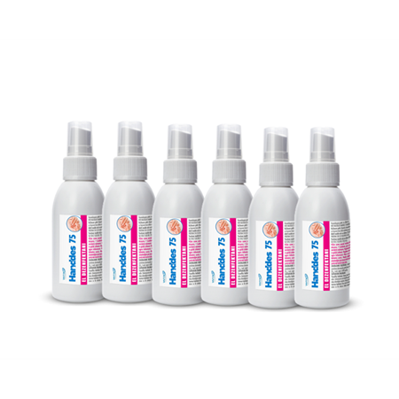 WTR Handdes 75 Alkol Bazlı Sıvı El Dezenfektanı 100 ml 6'lı Paket
