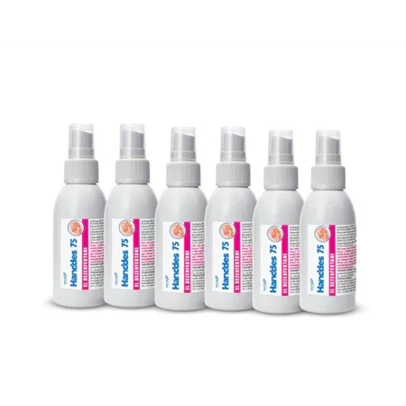 Altı adet 100 ml şişede Handdes 75 alkollü sıvı el dezenfektanı paketi