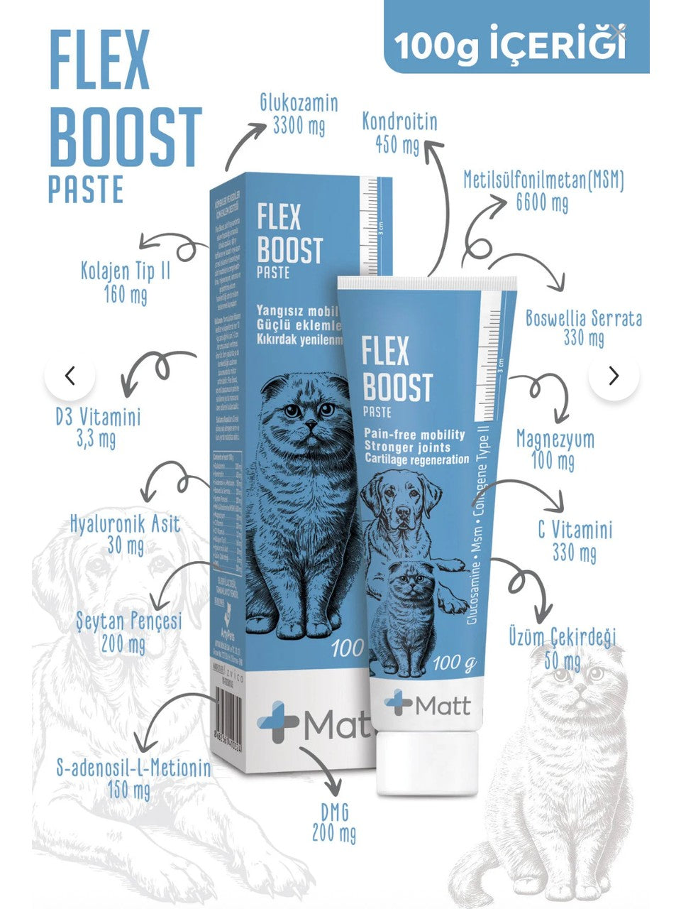 Matt Flex Boost Eklem Sağlığı Destekleyici Kedi ve Köpek Macunu 100 gr