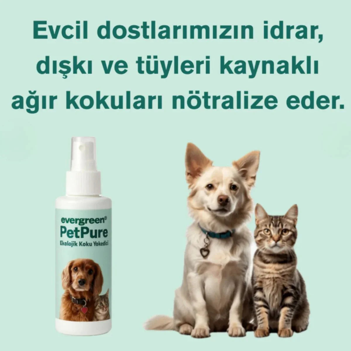 PetPure evcil hayvan idrar kokusu giderici sprey, köpek ve kedi yanında, ağır kokuları nötralize eder